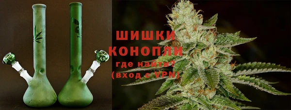 молекула духа Нефтегорск